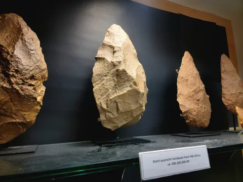 Handaxes on display